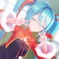ToraPhoto1