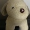 ぱぴりょん