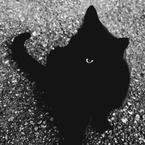 だから