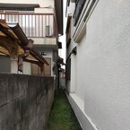 播州漂漾