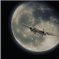 空海絶色