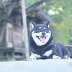 たくさん2025