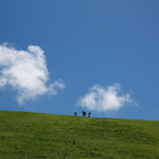 EOS555
