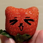 わっぬ
