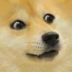 ゐぬ丸