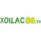 xoilacxxncc