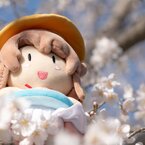 しょっさん