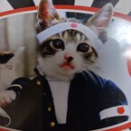 摩天楼ブルース