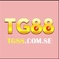 tg88comse