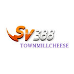 sv388townmil