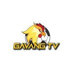 gavangtvbuzz