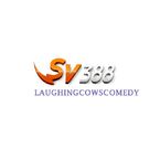 sv388laughin
