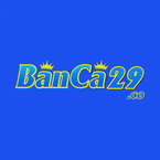 banca29co
