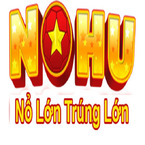 nhacainohu90
