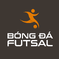 bongdafutsal