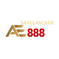 ae888save