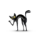 solipsis