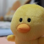 きのっし～