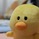 きのっし～