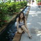 gilva