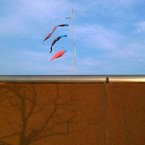 cluestod
