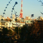 ソライロ