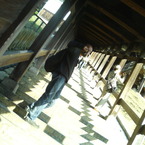 shin@par