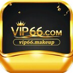 vip66 makeup