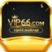 vip66 makeup