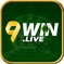 9winlive