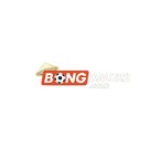 bongdalu22co