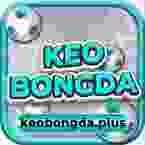 keobongdaplu