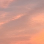 onu 