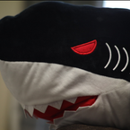 サメ