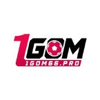 1gom66pro