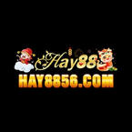 Hay8856 Com