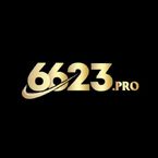 6623pro