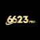 6623pro