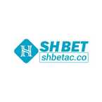 shbetacco1