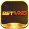 betvnd .