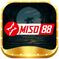 miso88art1