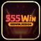 555windesign