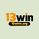 13winnorg