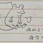 かえるのカメラ