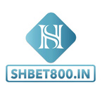 shbet800in