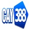 Cay388cam