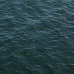 sity_11