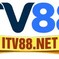 tv88net