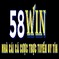 58winvipskin