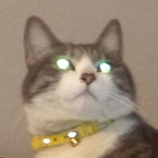 常連の鉄